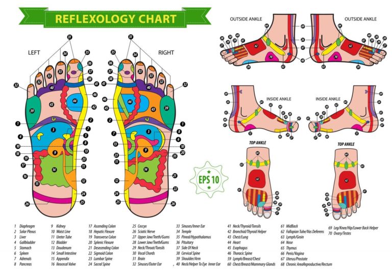 How Does Reflexology Work Reflexology Pages 