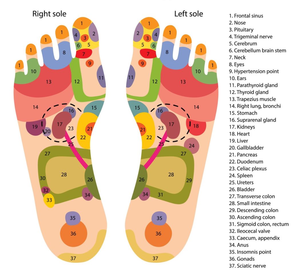 what-is-reflexology-reflexology-pages