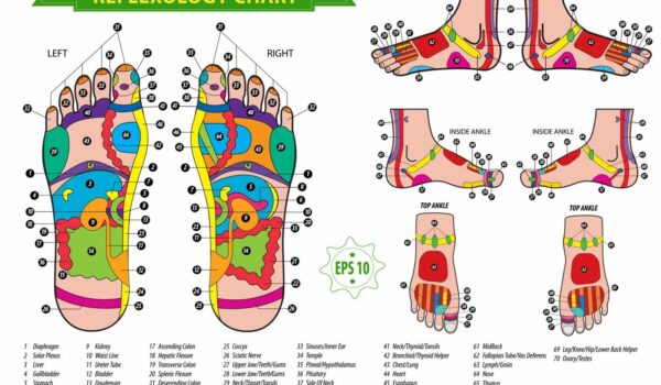 Welcome | Reflexology Pages